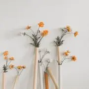 Eiの画像