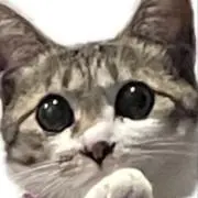 PoNo