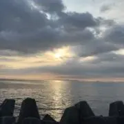 かの画像