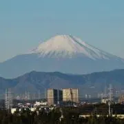 ニータ