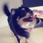こっちの画像