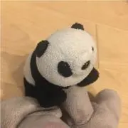 あぱんたろうの画像