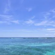 sskの画像