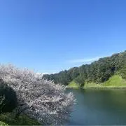 ミサの画像
