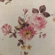 Anabelの画像