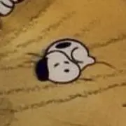 riの画像