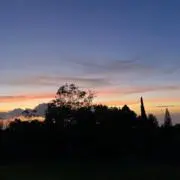 TMMの画像