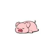 pigchan.の画像
