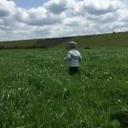スカイの画像