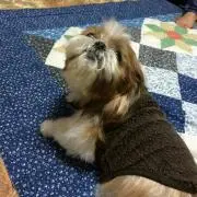みなも