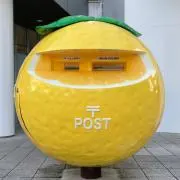 日向夏