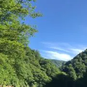 SORAの画像