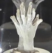 Genesisの画像