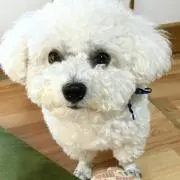 ひかり3の画像
