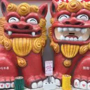 かあこの画像