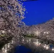 ゆいの画像