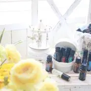 美人のとびらの画像