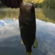 じたっきー