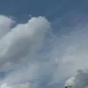 さちゃの画像