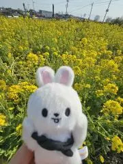 りくまくまの画像