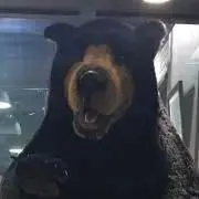 みーぷー★プロフィール必読★の画像
