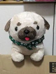 youの画像