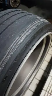 Y31.リキの画像