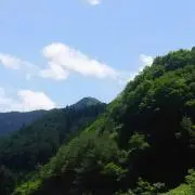 ラーラ☆の画像