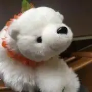 こじろうの画像