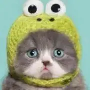 nonの画像