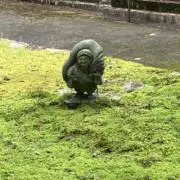 M屋　‪「まとめ購入　割引有」の画像
