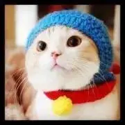 Image of cats_eye  ＊プロフィール必読