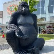 なおたろう