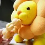 ポンデライオン
