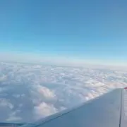 UMI(プロフ必読)の画像