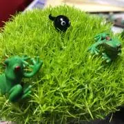 かーびー ★プロフィール必読★
