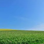 uuの画像