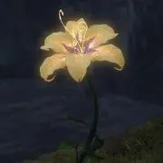 yunkiminの画像