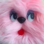 はりねず