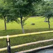 まーたんの画像