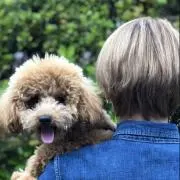 おとはの画像