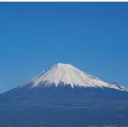 ハス丸の画像
