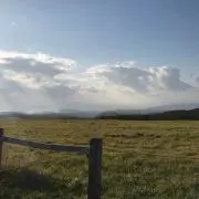 リックン