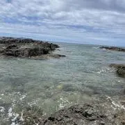 翔