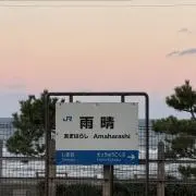 ピュピュウの画像