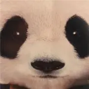 Takamichi