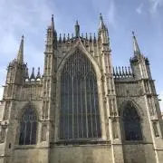 ホーリーの画像