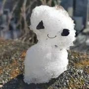 みいたん