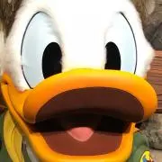 LALAの画像