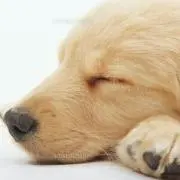 きょうの画像